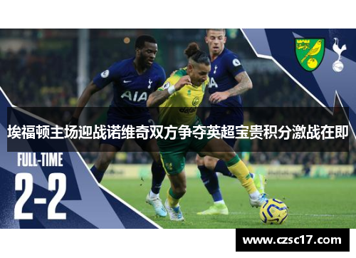 埃福顿主场迎战诺维奇双方争夺英超宝贵积分激战在即